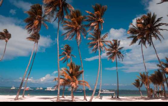 Punta Cana com All Inclusive  7 Dias